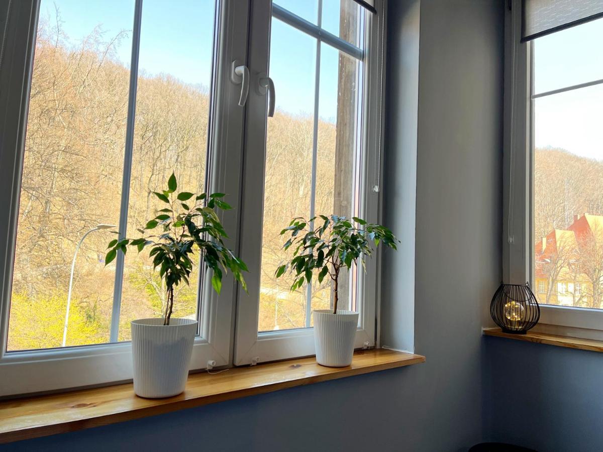 Pod Muflonem Hostal Wałbrzych
